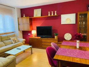 Apartamentos Alcañiz Premium